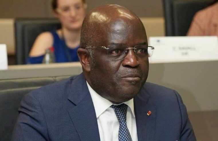 Gabon pushes for economic transformation to break free from raw material reliance