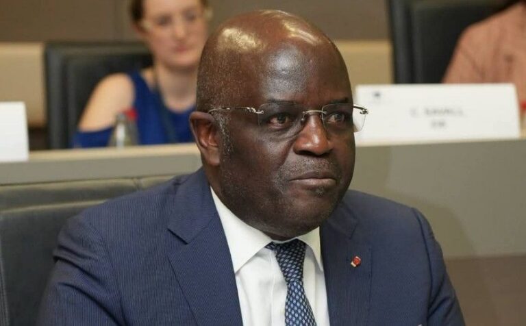Gabon pushes for economic transformation to break free from raw material reliance