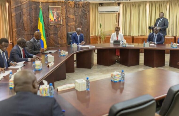 Gabon’s government intensifies oversight on african development bank projects