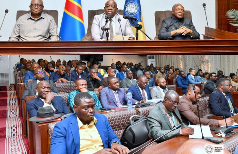 Systematic oversight: government intensifies mining revenue audits