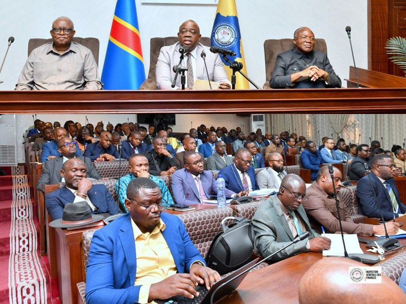 Systematic oversight: government intensifies mining revenue audits