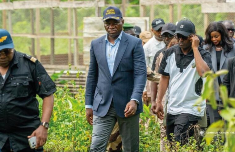 Gabon aims for food self-sufficiency with 25 billion FCFA plan