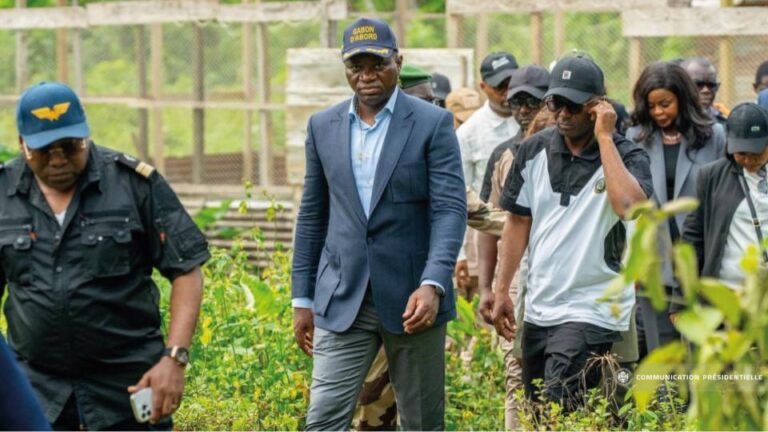 Gabon aims for food self-sufficiency with 25 billion FCFA plan