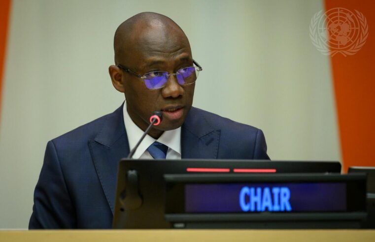 Senegalese ambassador coly seck takes leadership role in un fourth committee