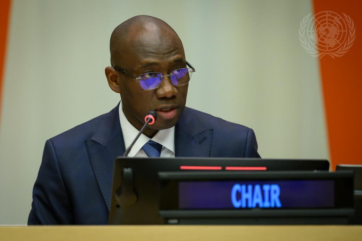 Senegalese ambassador coly seck takes leadership role in un fourth committee