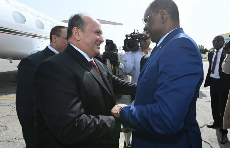 Algerian prime minister begins official visit to Chad