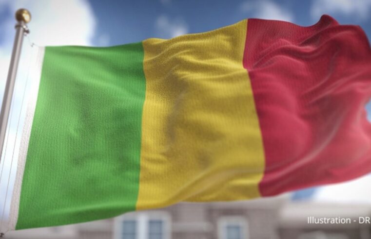 Malian court sentences French intelligence operative to 20 years for state security breach