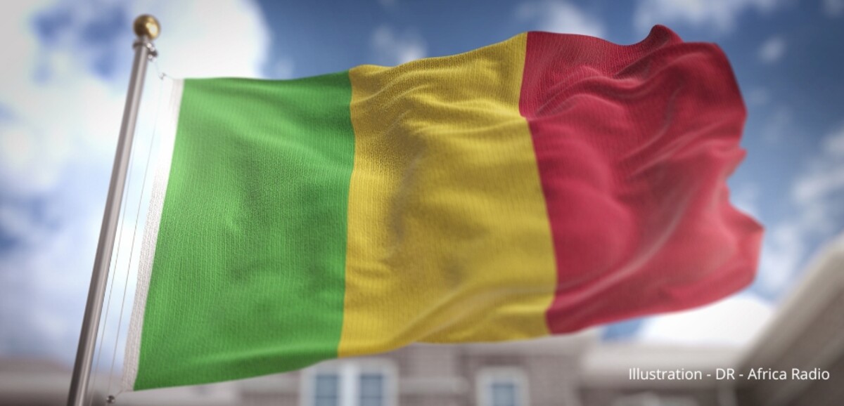 Malian court sentences French intelligence operative to 20 years for state security breach