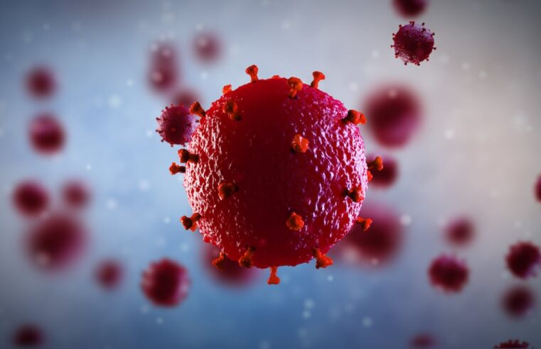 Hiv testing shortages in Morocco: local production sidelined by public procurement