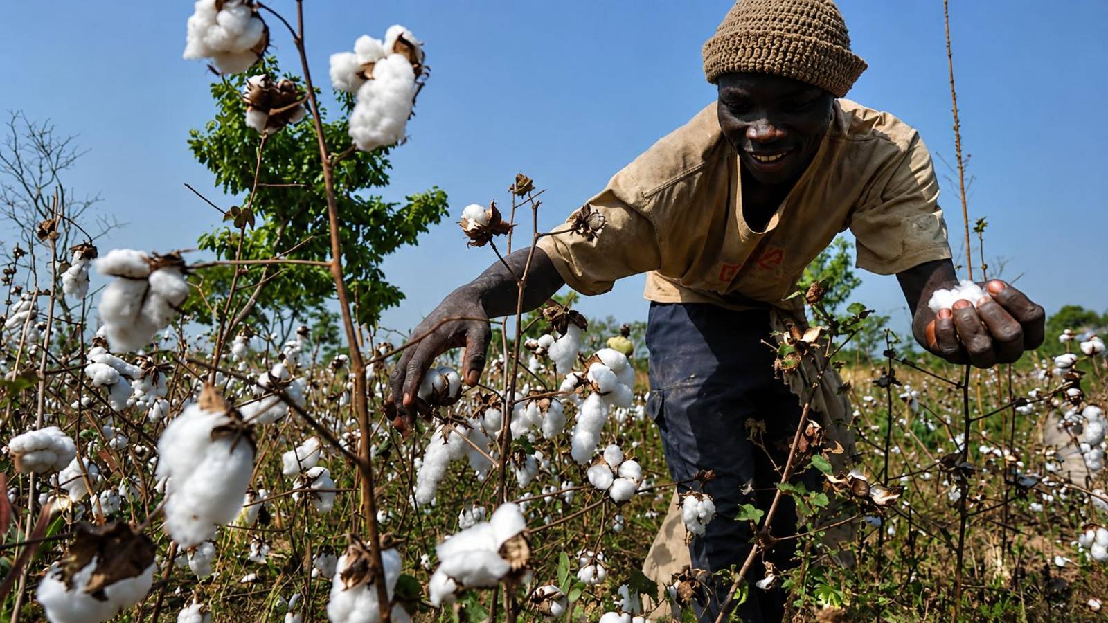 Benin accelerates local food processing to achieve food sovereignty