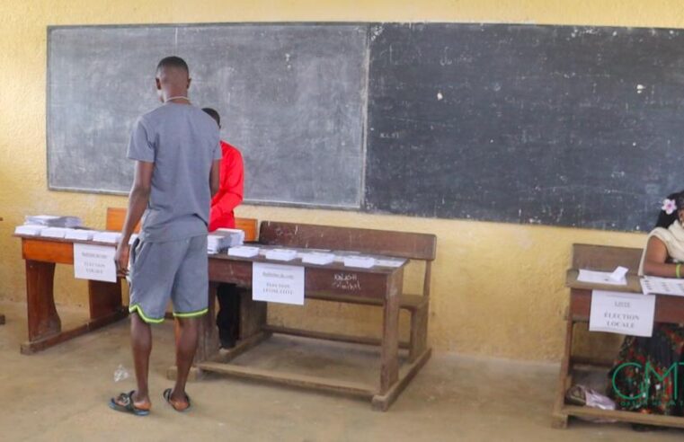 Gabon’s democratic advancement: a spotlight from V-Dem’s 2026 report