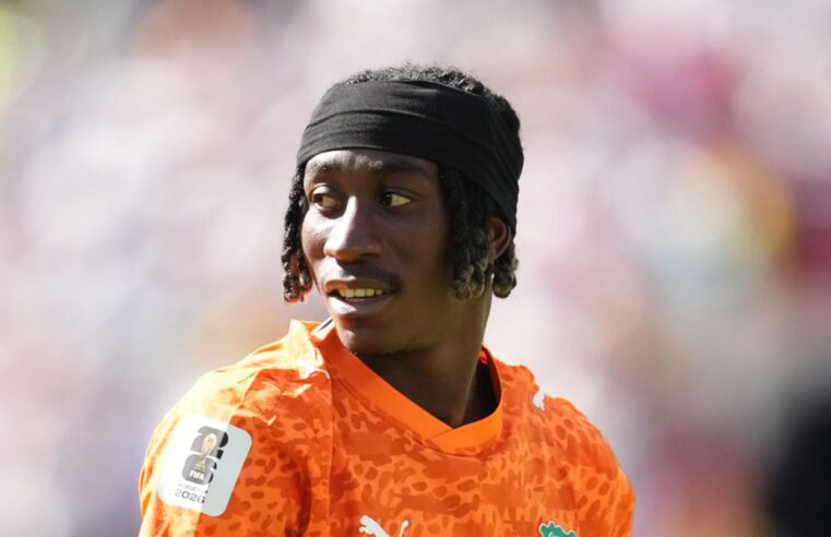 Yan diomandé’s psg move: a year-long wait on the horizon?