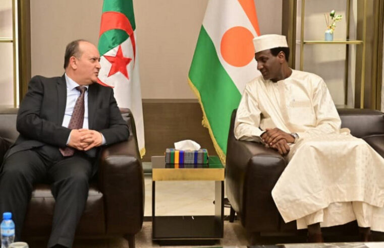 Algeria’s prime minister boosts cooperation with Niger, focusing on energy development