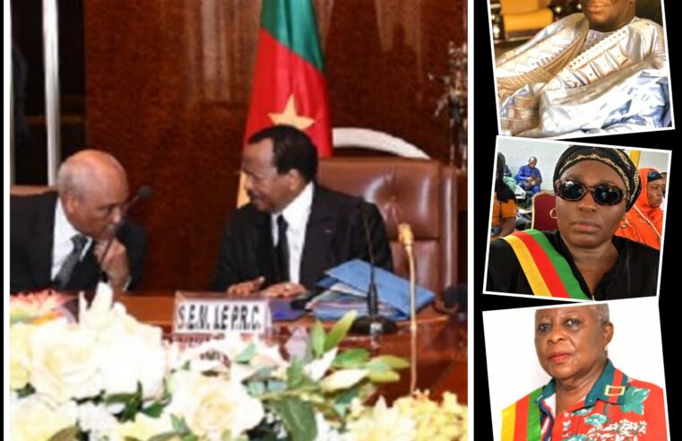 New appointments to Cameroon’s top judicial council