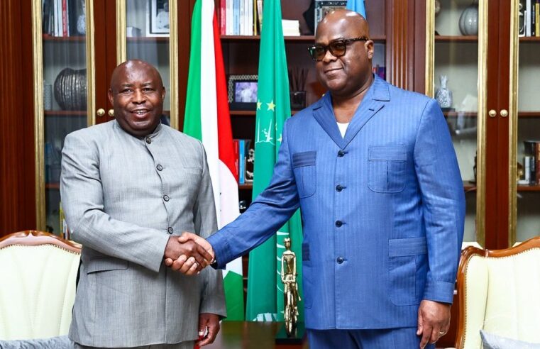DRC and Burundi leaders meet in Kinshasa to tackle security and health crises
