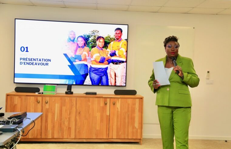 Endeavour Mining boosts ivorian economy with 1710 billion fcfa contribution