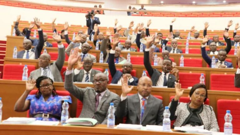Gabon national assembly passes 18 bills in landmark plenary session