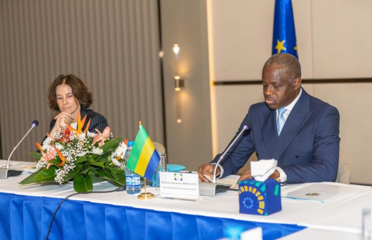Gabon-EU strategic partnership kicks off in Libreville with new focus on investment and ecology