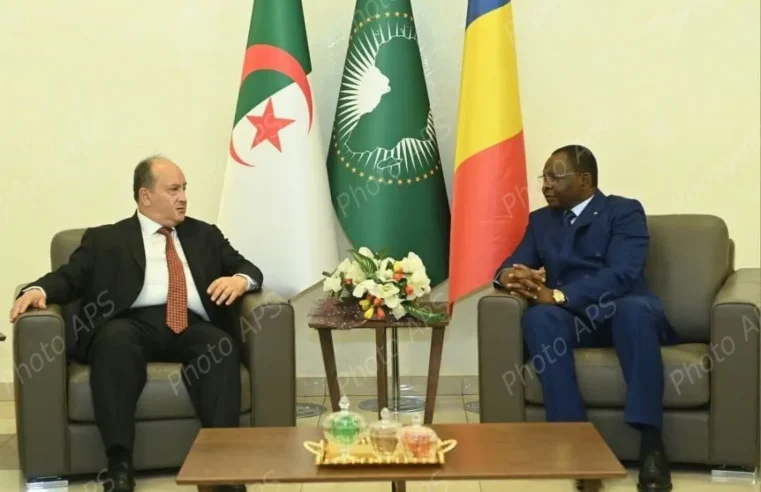 Prime minister of Algeria begins official visit to Chad