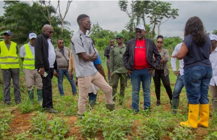 Gabon leverages science for food sovereignty breakthrough