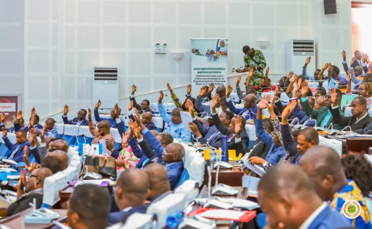 Togo National Assembly session