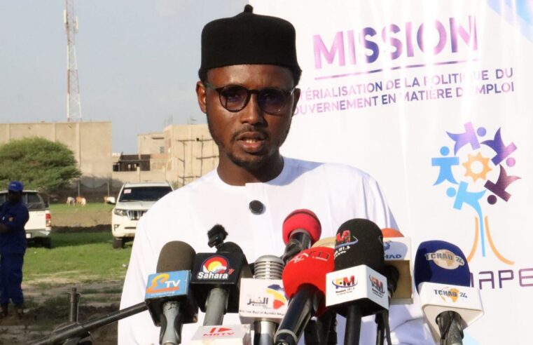 Young people in N’Djamena embrace green careers with city-backed initiative