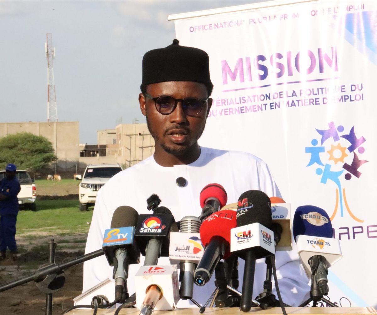 Young people in N’Djamena embrace green careers with city-backed initiative