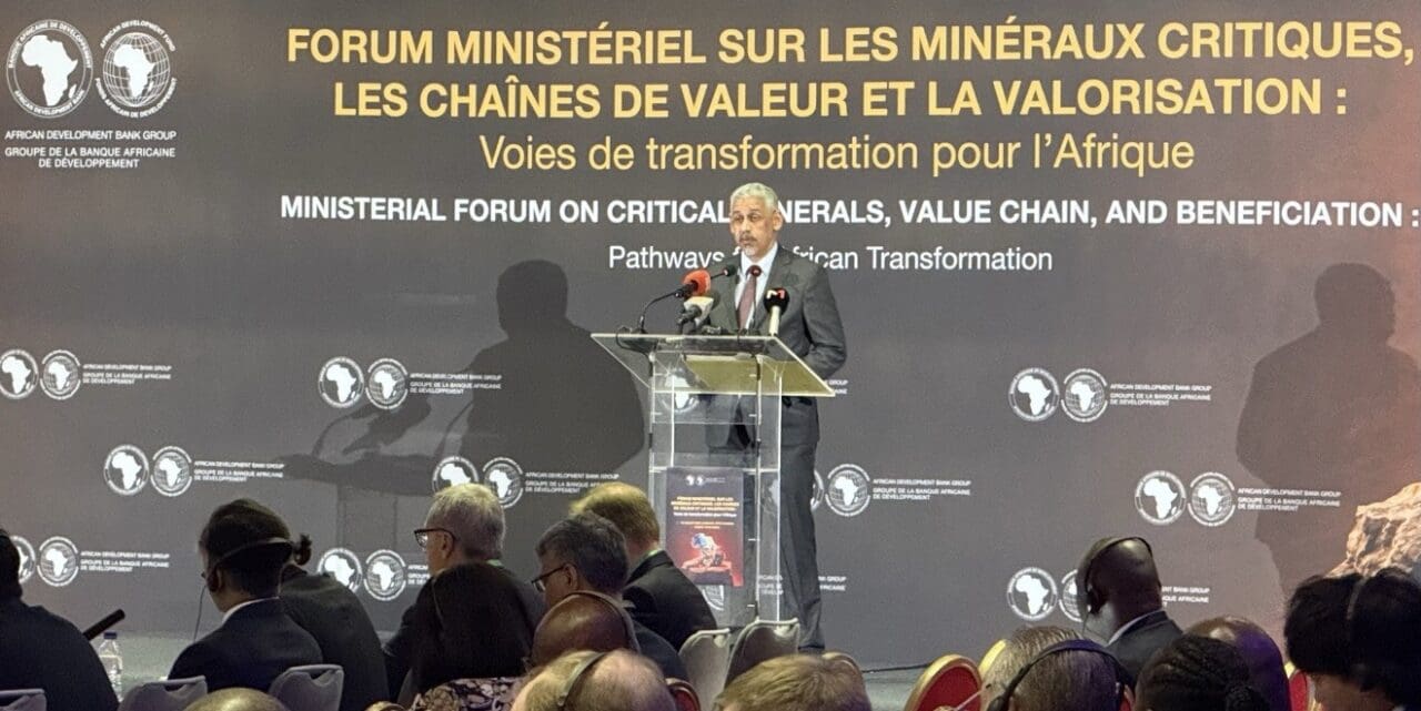 Africa’s critical minerals summit: unlocking 29 500 billion dollar potential