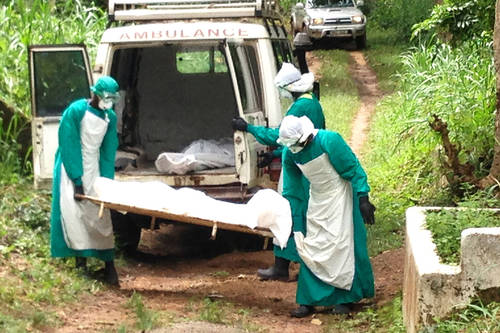 DRC Ebola Crisis: Over 500 Dead as Outbreak Spreads to New Provinces