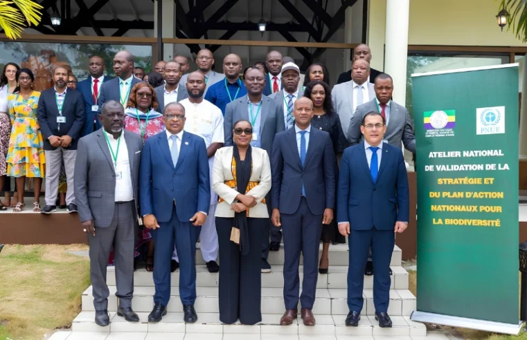 Gabon Adopts New Biodiversity Strategy to Safeguard Its Exceptional Wildlife