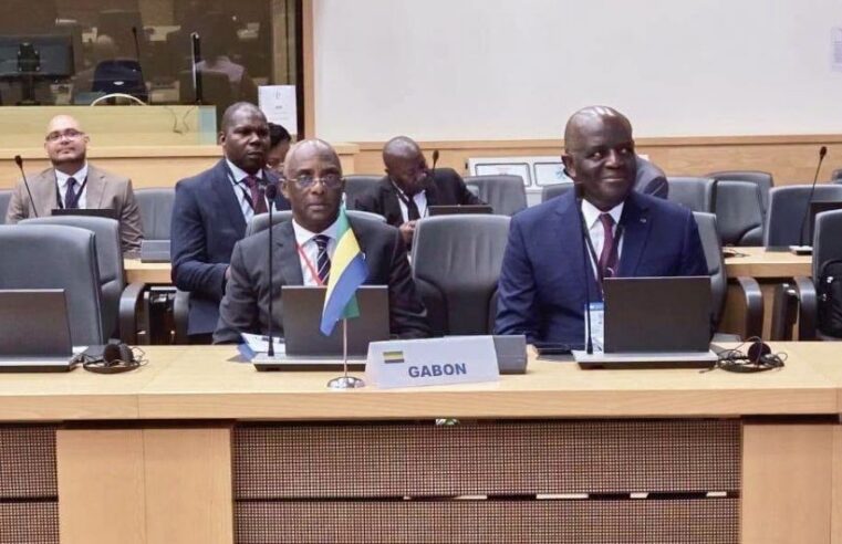 Gabon charts new course in global South diplomacy