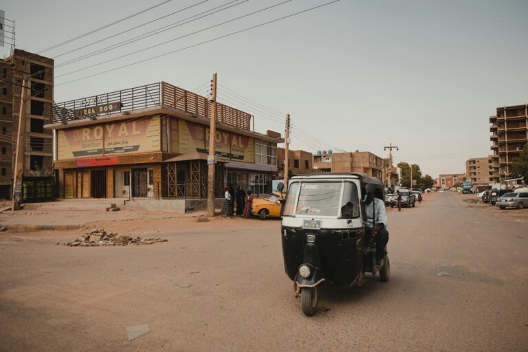 Jnih militants tighten economic stranglehold on Bamako and target Mali’s power grid