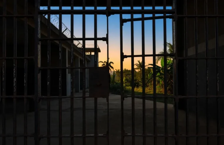 Côte d’Ivoire six pdci leaders freed after nine months detention