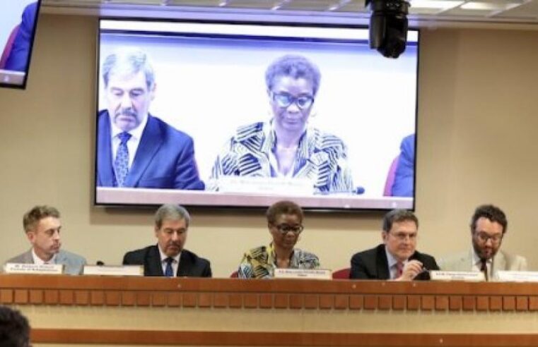Gabon champions a global climate finance revolution at the un