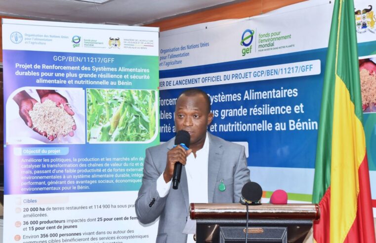 Benin’s food systems project: transforming agriculture through rice and maize revival