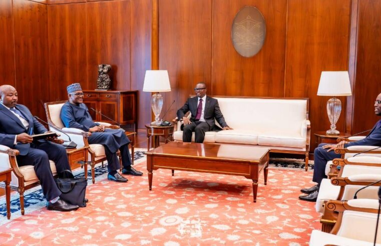 Bénin: a new era for economic partnership with aliko dangote