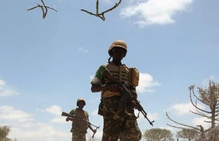 Airstrikes in Mali claim eight civilian lives, reports rights watchdog