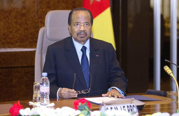 Nomination du vice-président : voici pourquoi nous devons soutenir le président Paul Biya