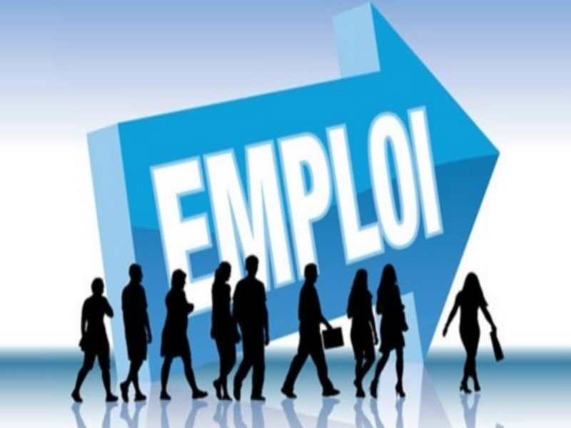 Emploi au Togo : Les 3 compétences les plus recherchées par les recruteurs en 2026