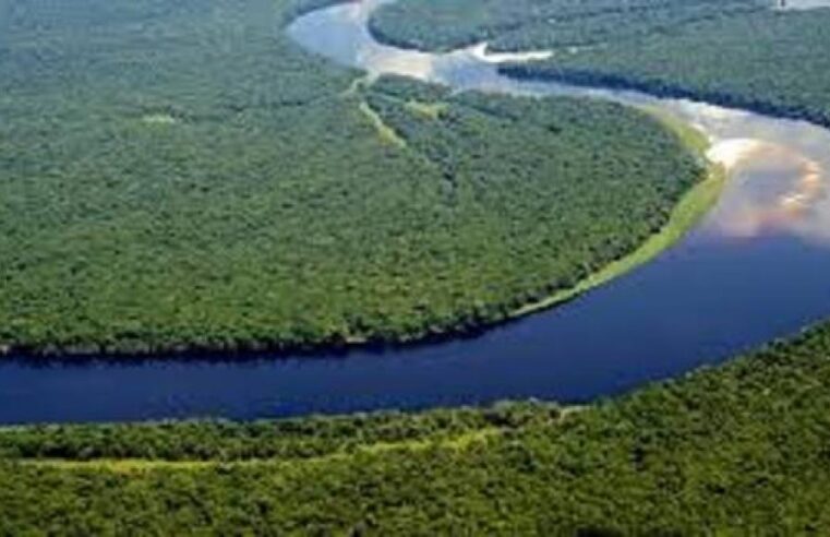 Congo’s ‘blue gold’: N’Djamena summit ignites regional water debate