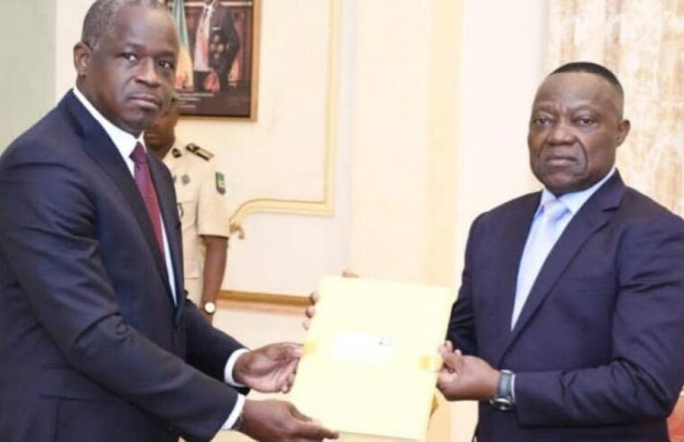 Gabon census data faces constitutional court validation