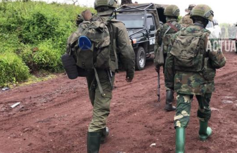 Eastern drc conflict: christian moleka highlights military shortcomings despite diplomatic gains