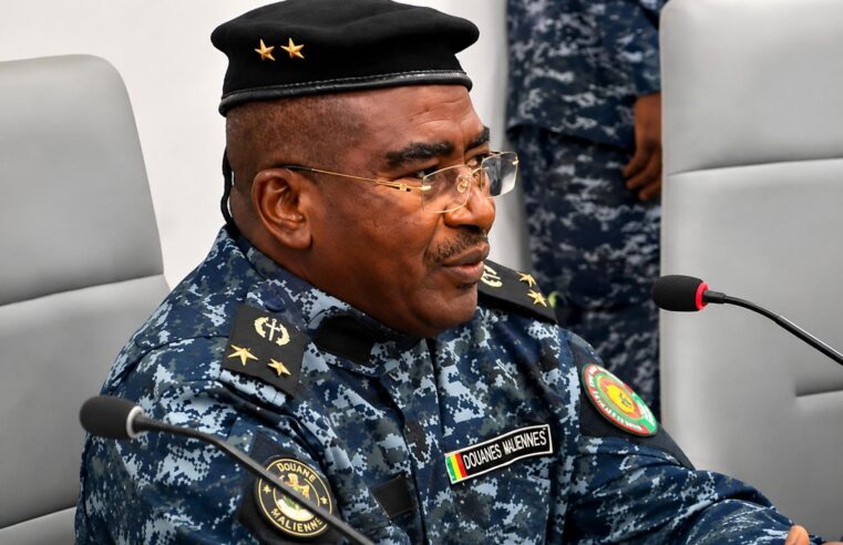 Behind the customs reshuffle in Mali: politics or performance