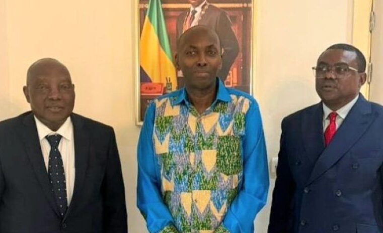 How Gabon strengthens financial transparency against illicit flows