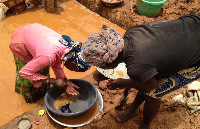 Cameroon’s phantom gold: billions slip past state control