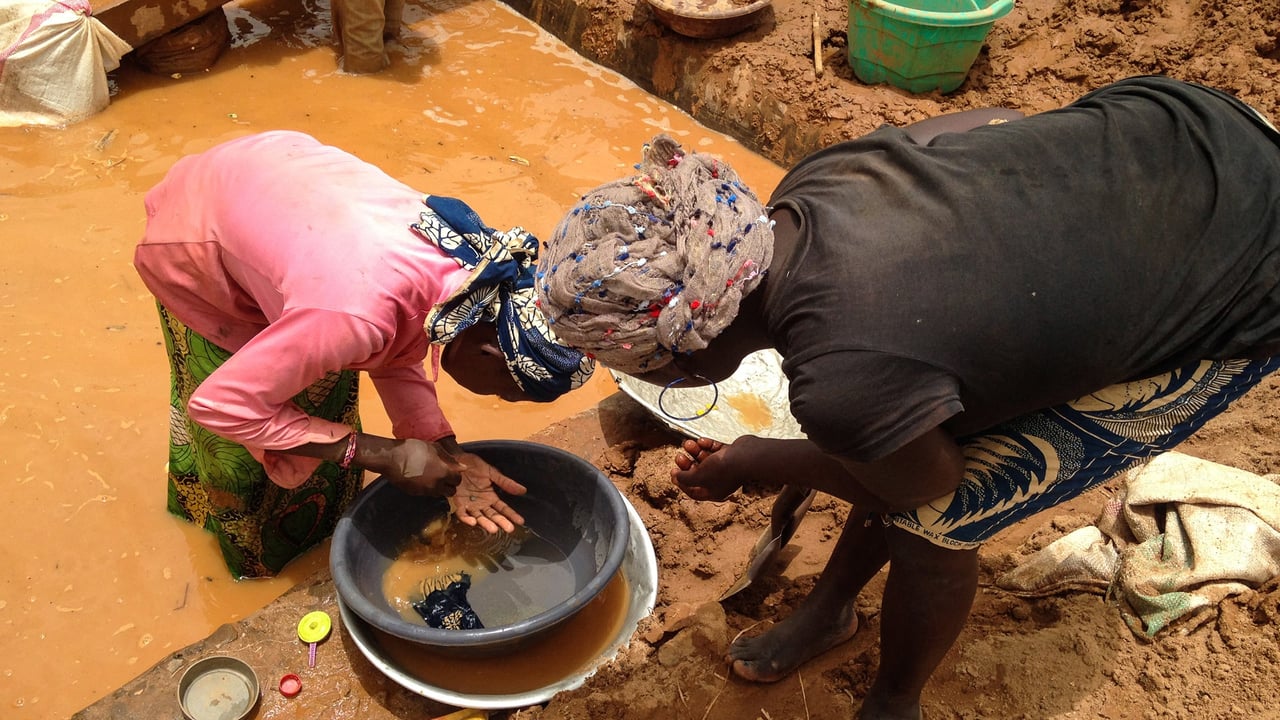 Cameroon’s phantom gold: billions slip past state control