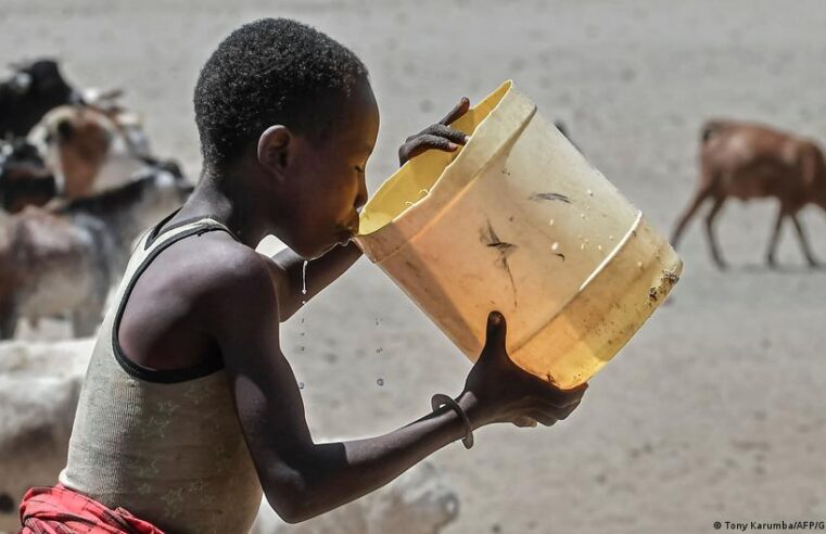 Water crisis in Chad: hope and skepticism at the african water forum