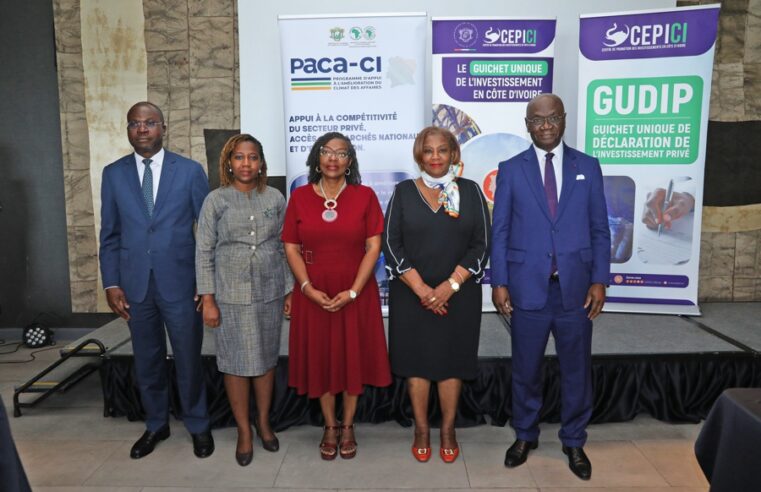 Côte d’Ivoire Unveils GUDIP to Streamline Private Investment Governance