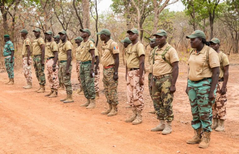 Tchad: Strict Dress Code for Forest and Watershed Agents