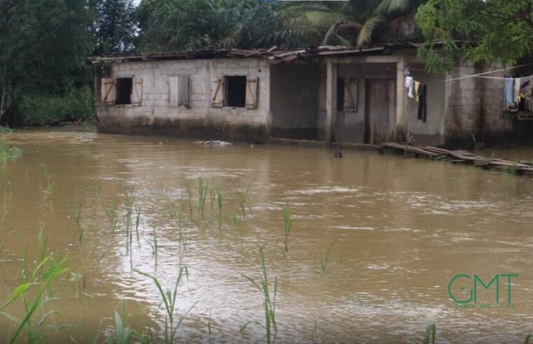 Gabon’s Development Challenges Ahead